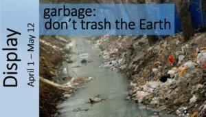 Impact of Garbage