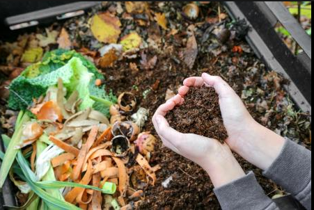 how to solve your compost issues 