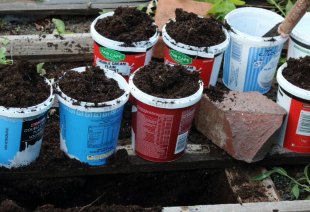 Creative Compost Creations At Home
