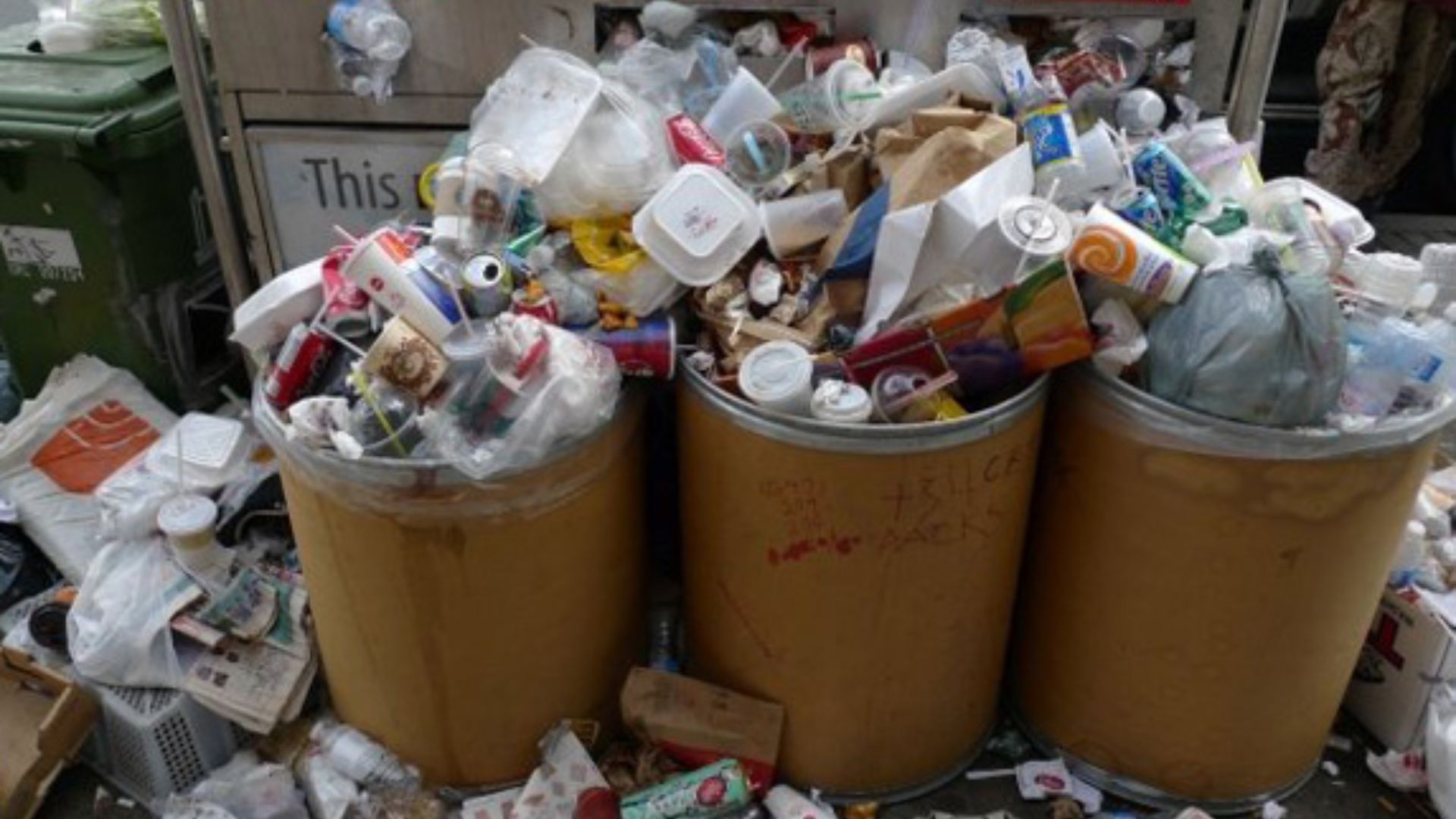 garbage in disposal bins