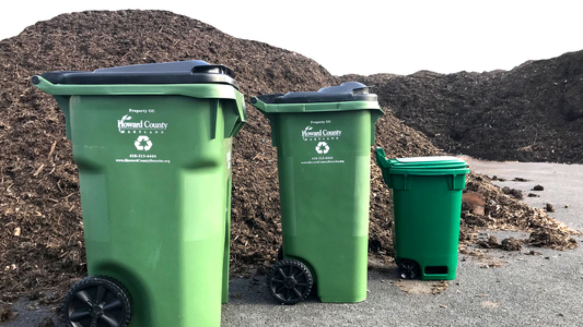 image showing waste bins kept in a hygienic ways 